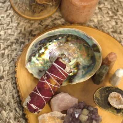 Abalone Pauo Schelp